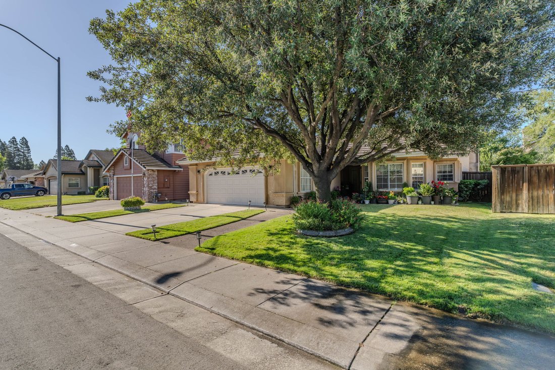 Lodi, California, United States 5 - 18186329