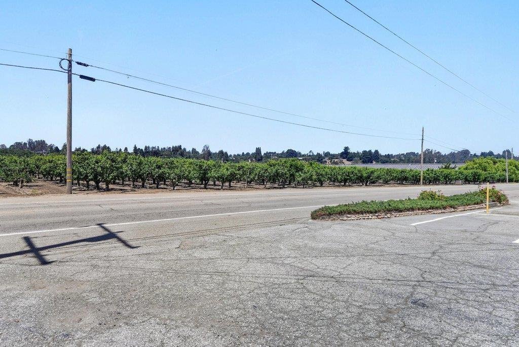 Watsonville, California, United States 5 - 18185252