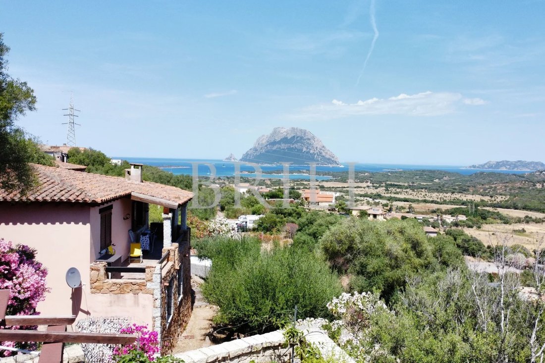 Villa in Loiri Porto San Paolo, Sardinia, Italy 4 - 18186408