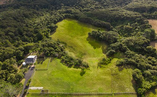Farm Ranch in Helensville, Auckland, New Zealand 1
