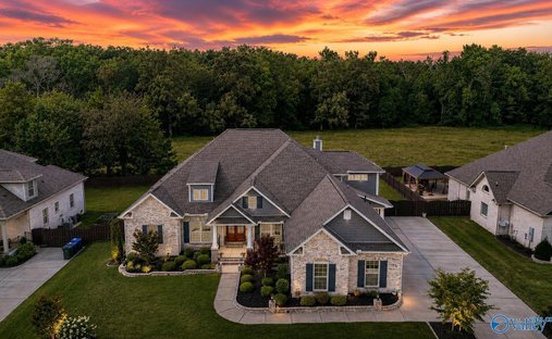 House in Madison, Alabama, United States 1