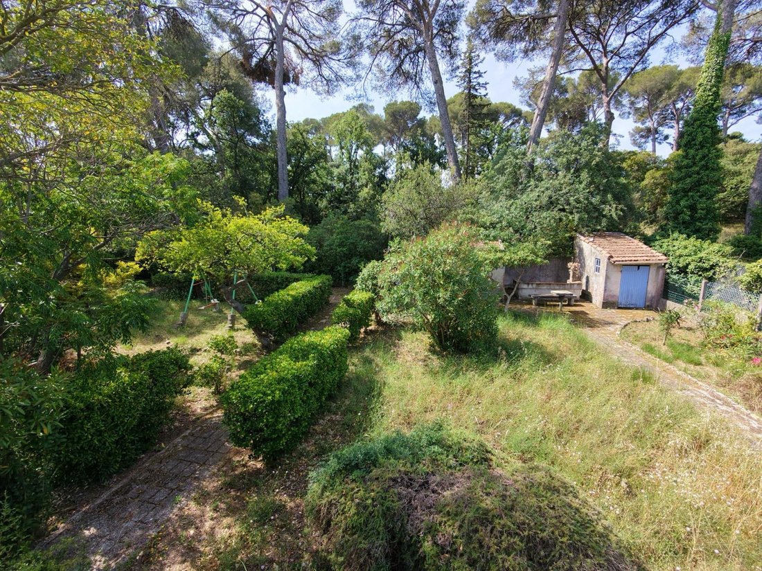 House in Sud, Le Pradet, France 4 - 18187142
