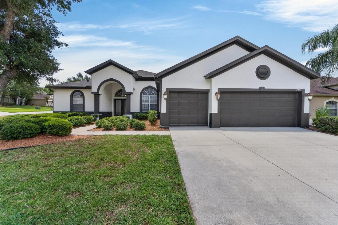 House in Valrico, Florida, United States 1 - 18187315