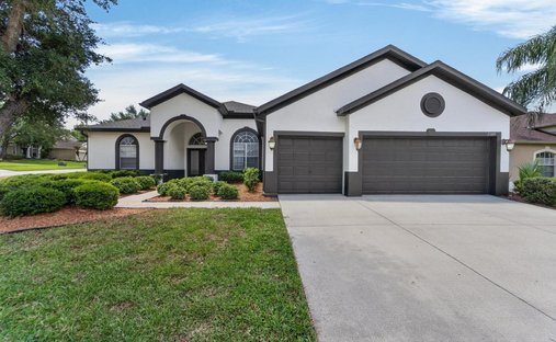 House in Valrico, Florida, United States 1