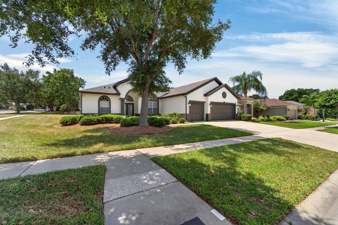 House in Valrico, Florida, United States 3 - 18187315
