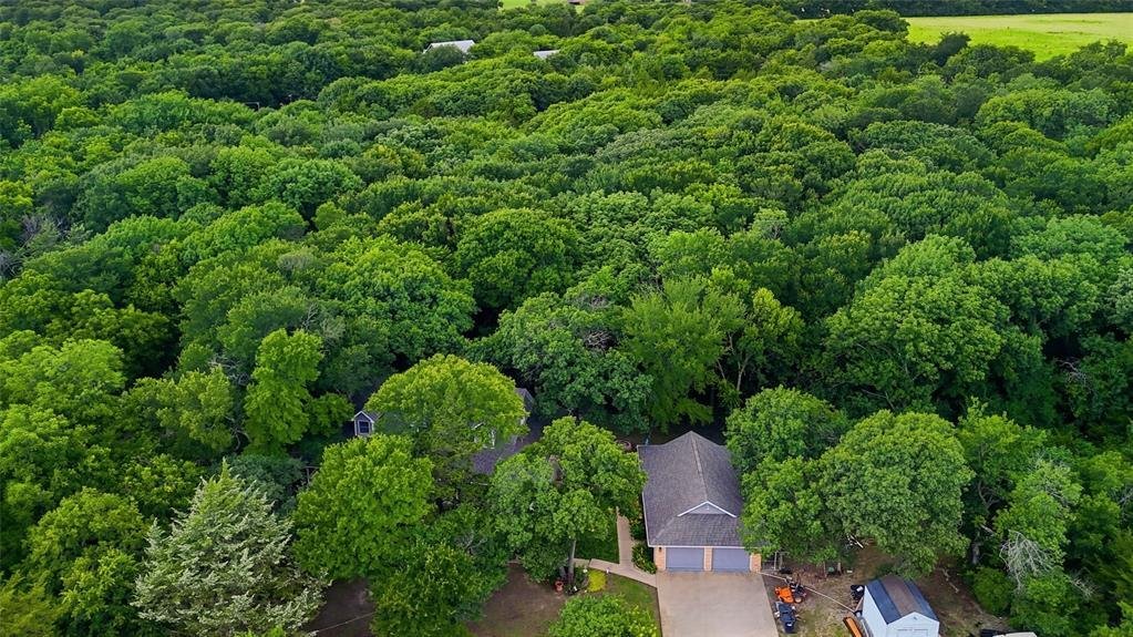 House in McKinney, Texas, United States 3 - 18168640