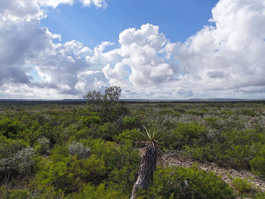Farm Ranch in Brackettville, Texas, United States 3 - 18186932