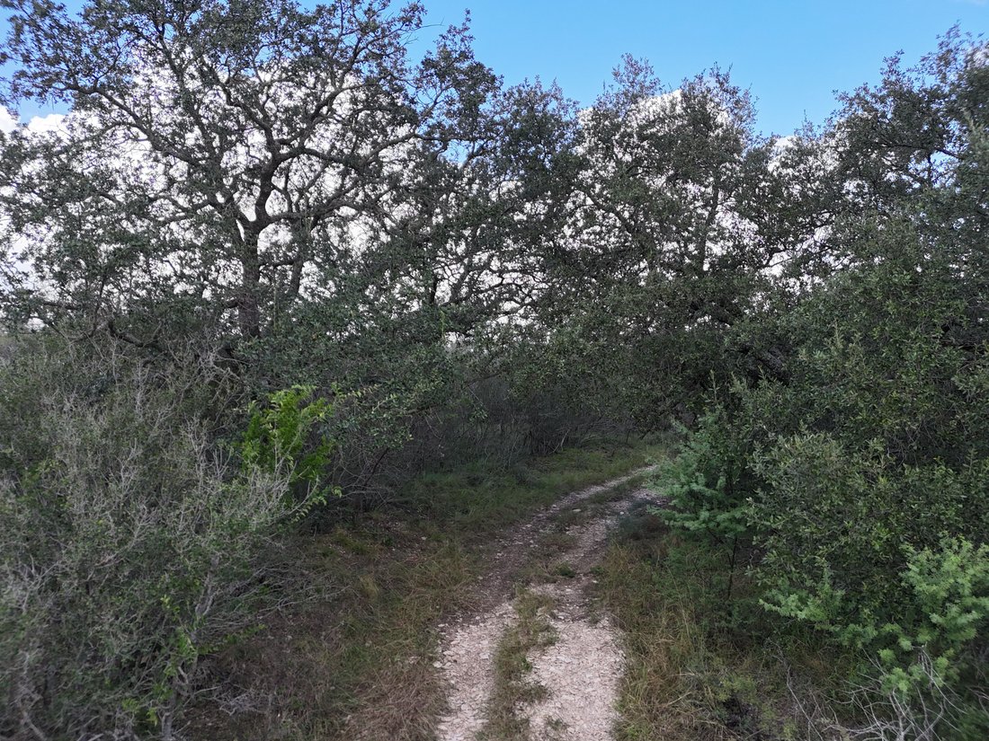 Farm Ranch in Brackettville, Texas, United States 2 - 18186932