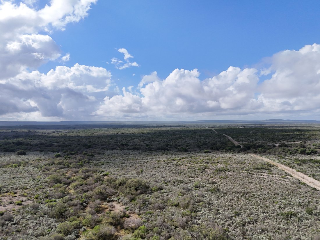 Farm Ranch in Brackettville, Texas, United States 1 - 18186932