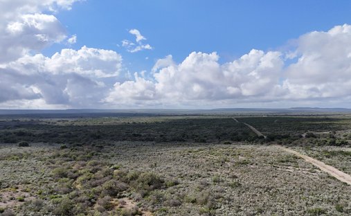Farm Ranch in Brackettville, Texas, United States 1
