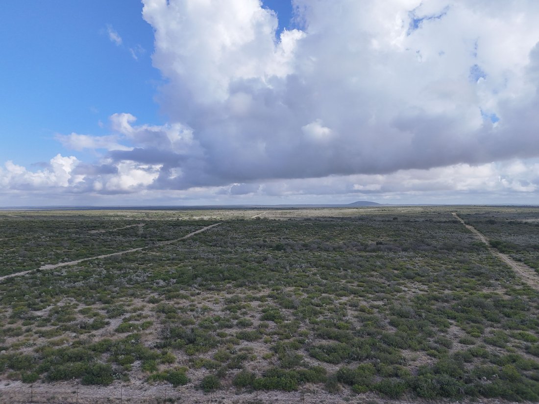Farm Ranch in Brackettville, Texas, United States 5 - 18186932