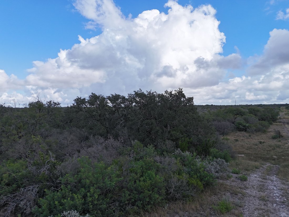 Farm Ranch in Brackettville, Texas, United States 4 - 18186932