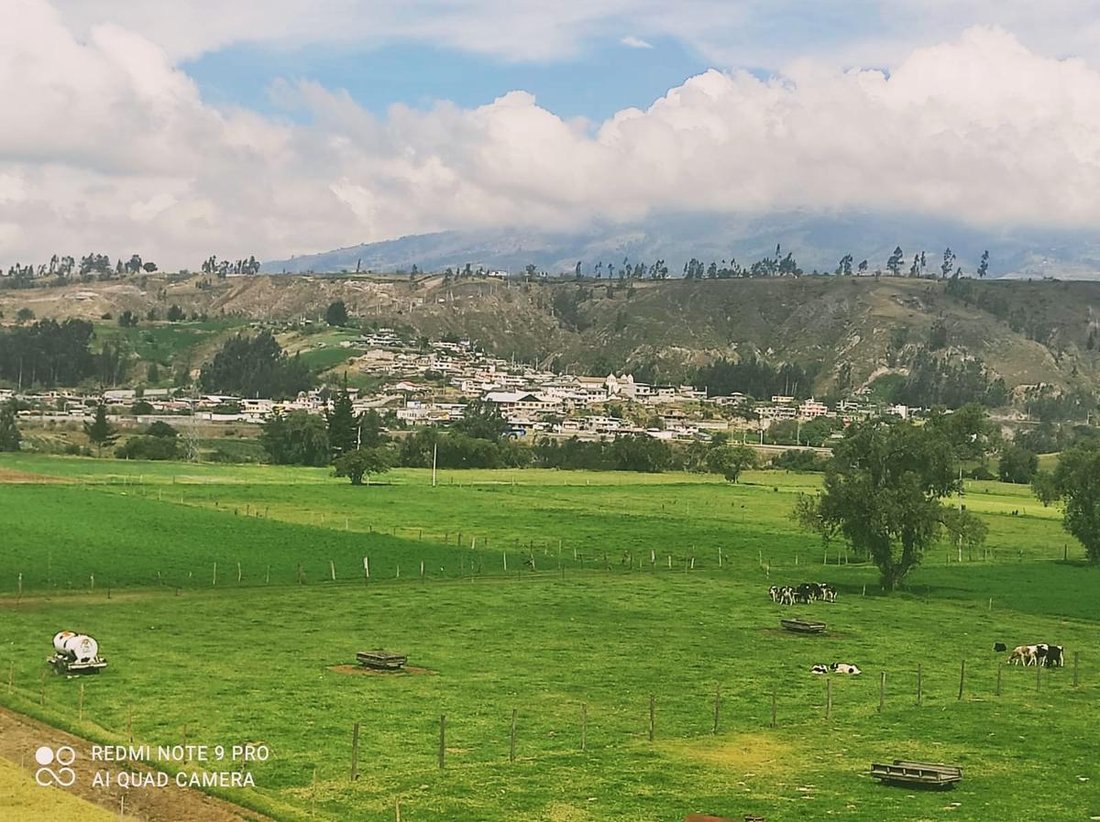 Estate in Salcedo, Cotopaxi, Ecuador 2 - 18190682