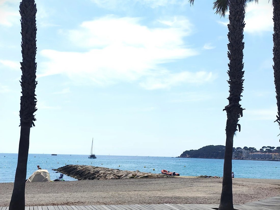 Apartment in Nord, Sanary-sur-Mer, France 5 - 18189886