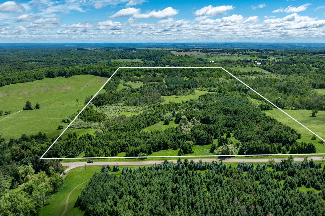Land in Mulmur, Ontario, Canada 1 - 18070522