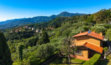 Villa en Massarosa, Toscana, Italia 1