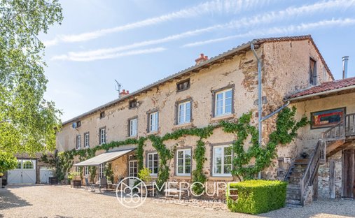 Estate in Vezelin-sur-Loire, Auvergne-Rhône-Alpes, France 1