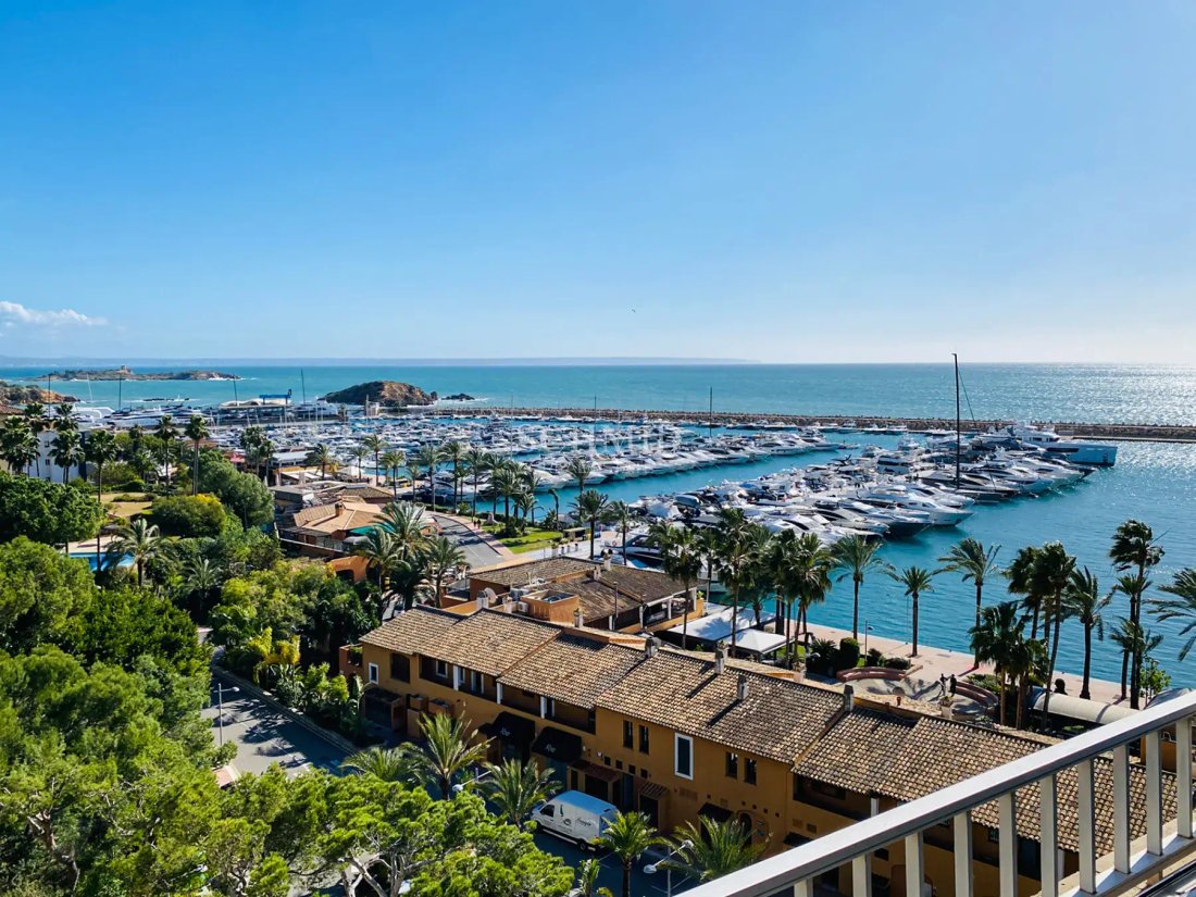 Apartment in Portals Nous, Calvia, Balearic Islands 1 - 18193101