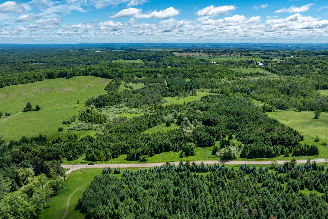 Land in Mulmur, Ontario, Canada 3 - 18070522