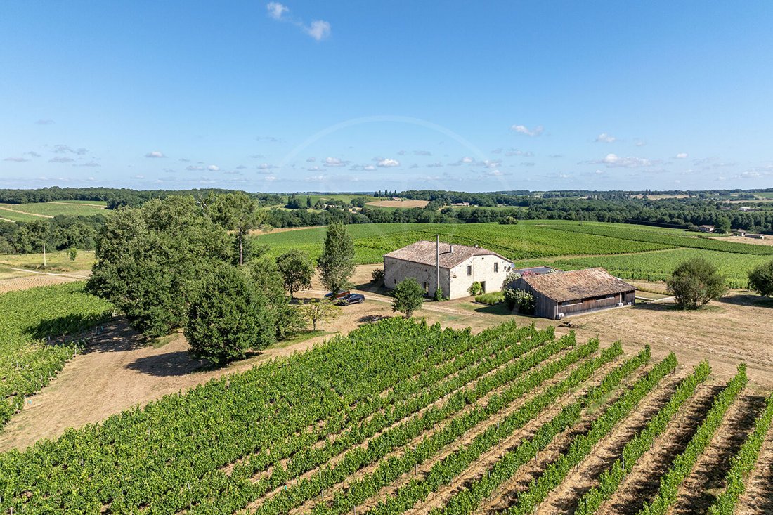 Villa in Pellegrue, Nouvelle-Aquitaine, France 2 - 18189327