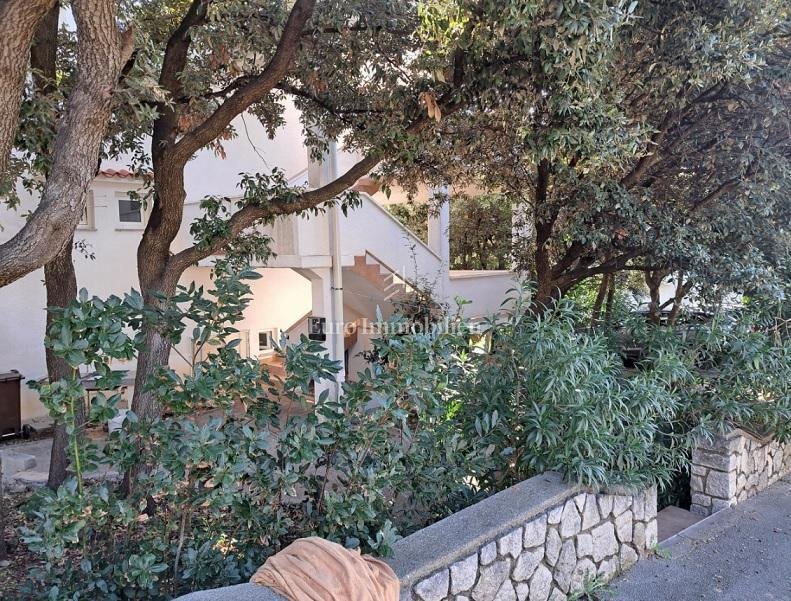 House in Mandre, Croatia 3 - 14963887