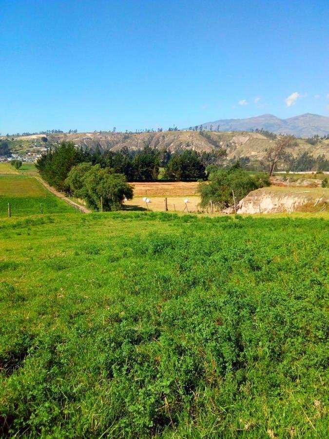Land in Latacunga, Cotopaxi, Ecuador 1 - 18190680