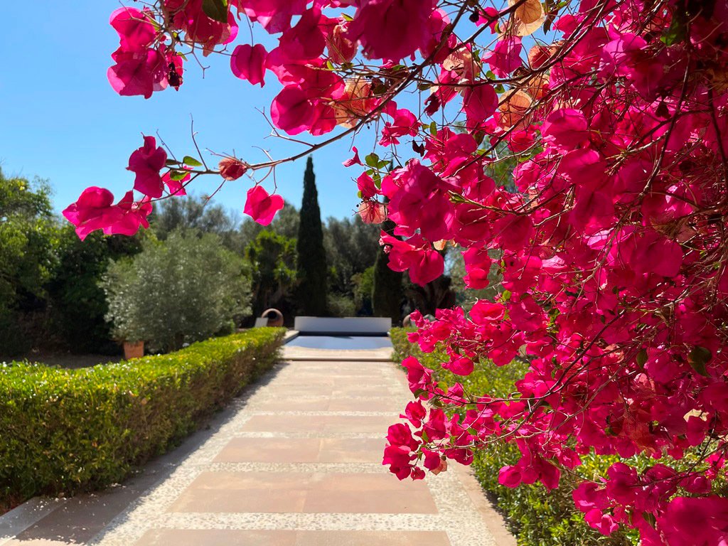 Finca in Santa Eugenia, Balearic Islands, Spain 3 - 18191533