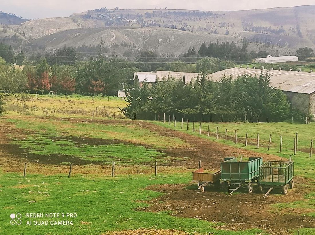 Estate in Salcedo, Cotopaxi, Ecuador 4 - 18190682
