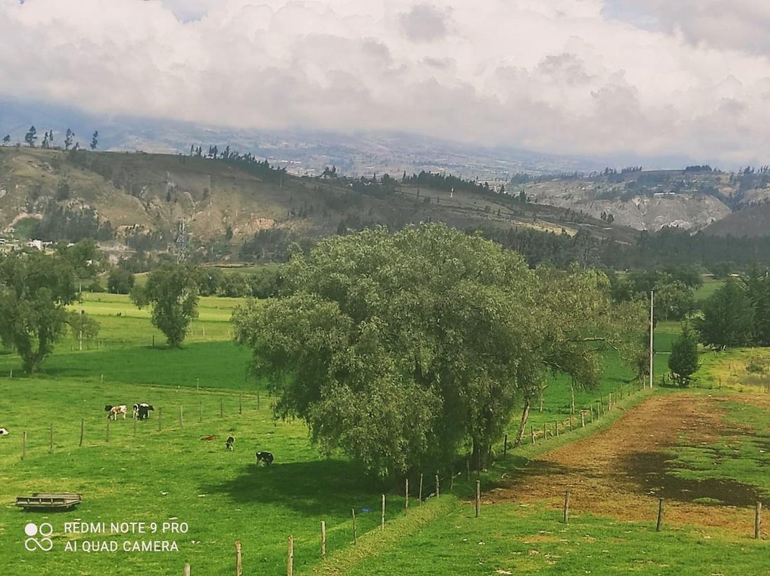 Estate in Salcedo, Cotopaxi, Ecuador 1 - 18190682