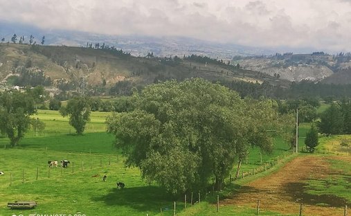 Domaine à Salcedo, Cotopaxi, Équateur 1