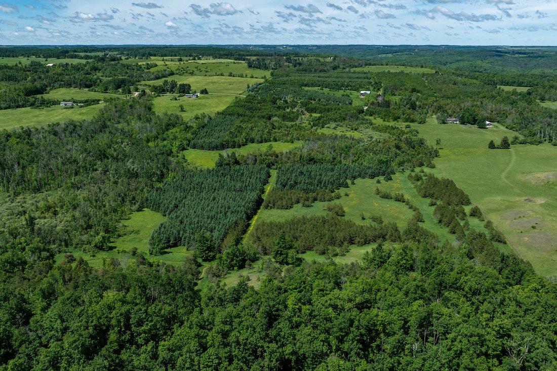 Land in Mulmur, Ontario, Canada 4 - 18070522
