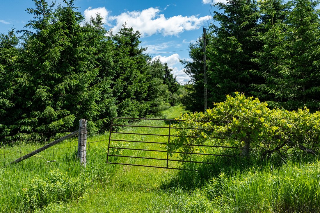 Land in Mulmur, Ontario, Canada 2 - 18070522