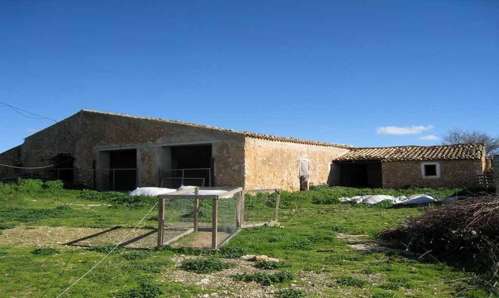 Finca in Palma, Balearic Islands, Spain 4 - 18191448