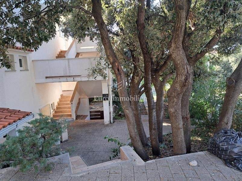 House in Mandre, Croatia 2 - 14963887