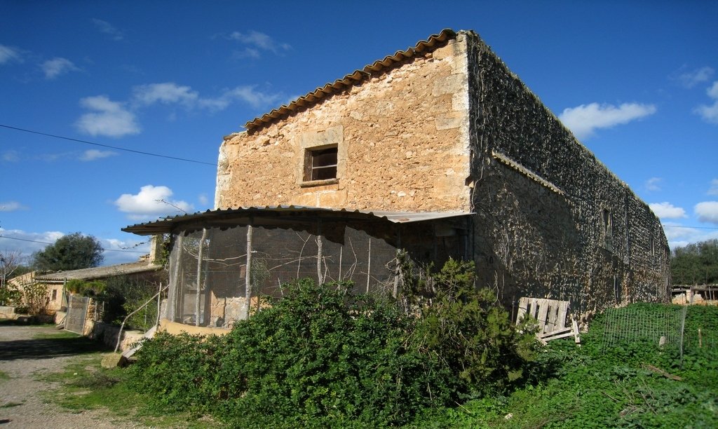 Finca in Palma, Balearic Islands, Spain 2 - 18191448