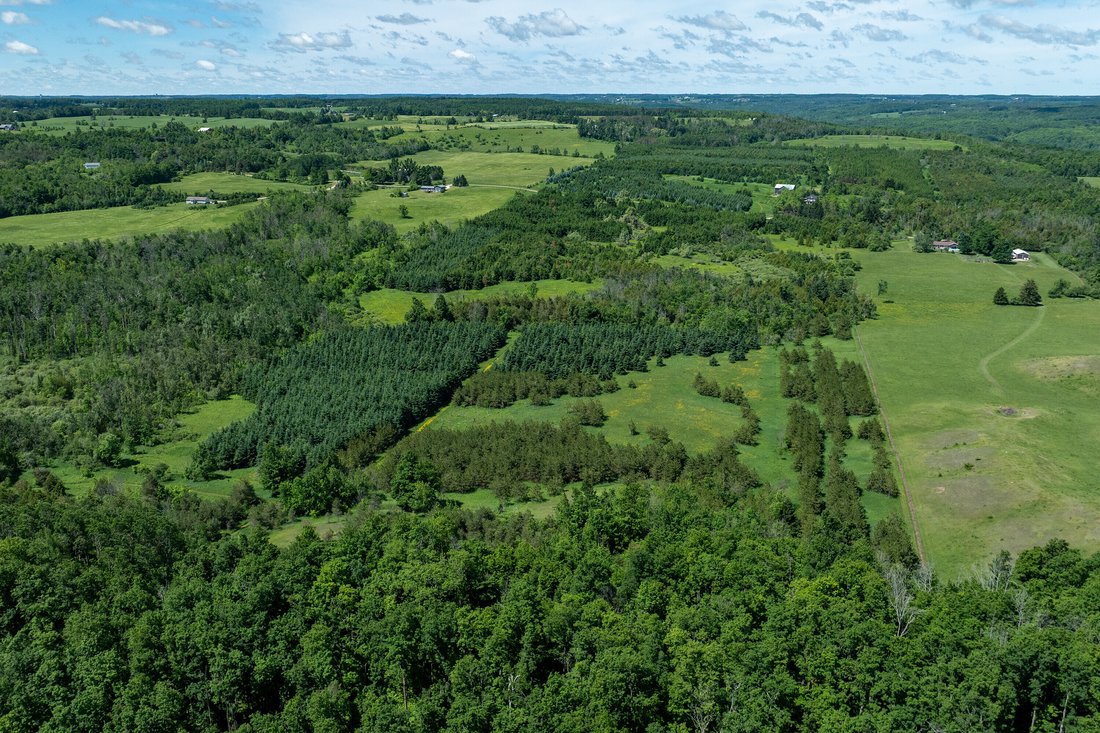 Land in Mulmur, Ontario, Canada 5 - 18070522