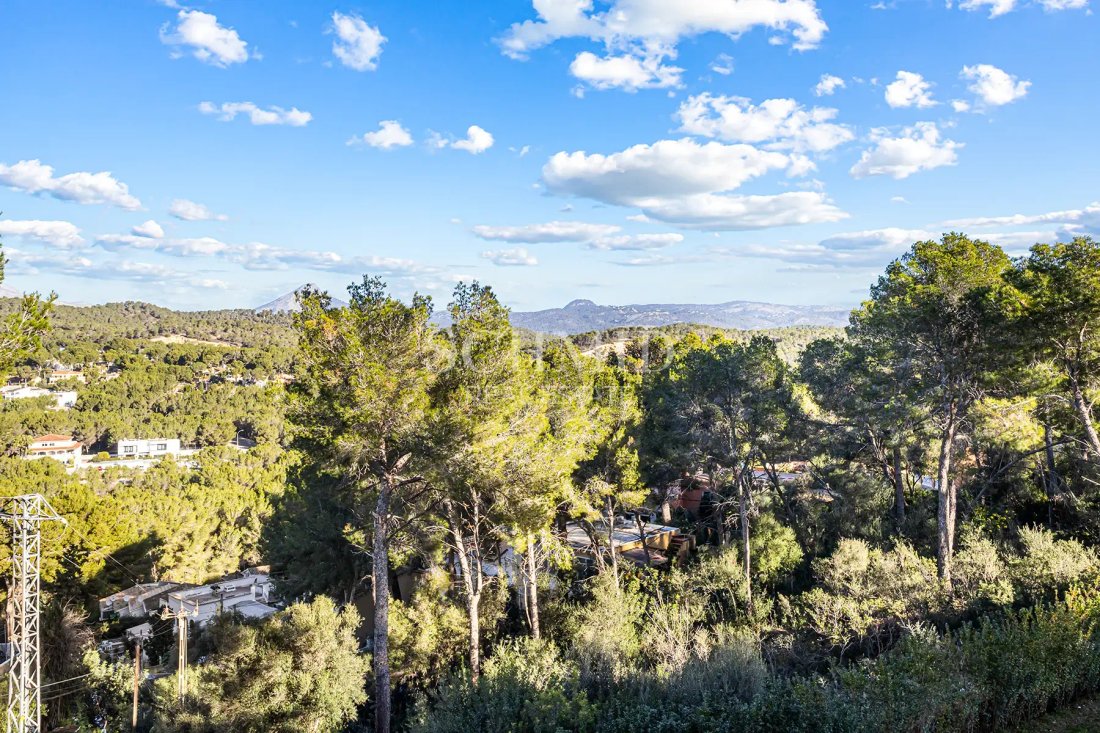 Villa in Rotes Velles, Calvia, Balearic Islands 5 - 18191714