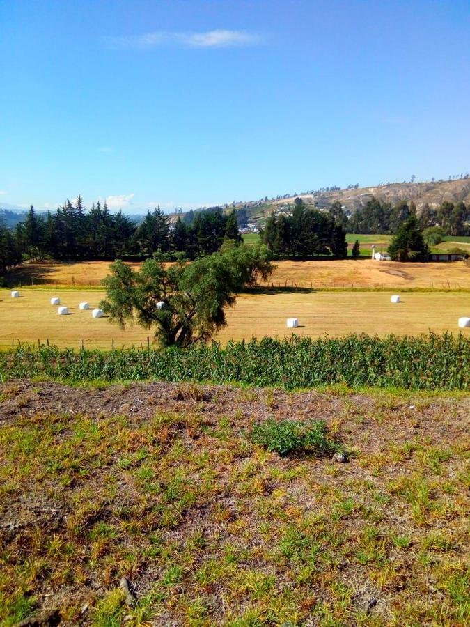 Land in Latacunga, Cotopaxi, Ecuador 3 - 18190680