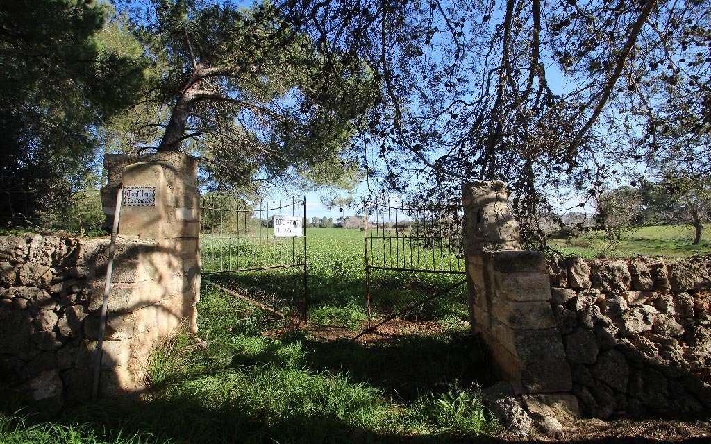 Land in Maria de la Salut, Balearic Islands, Spain 1 - 18191374