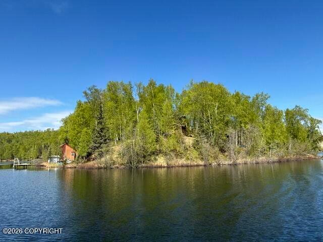 House in Big Lake, Alaska, United States 1 - 18175656