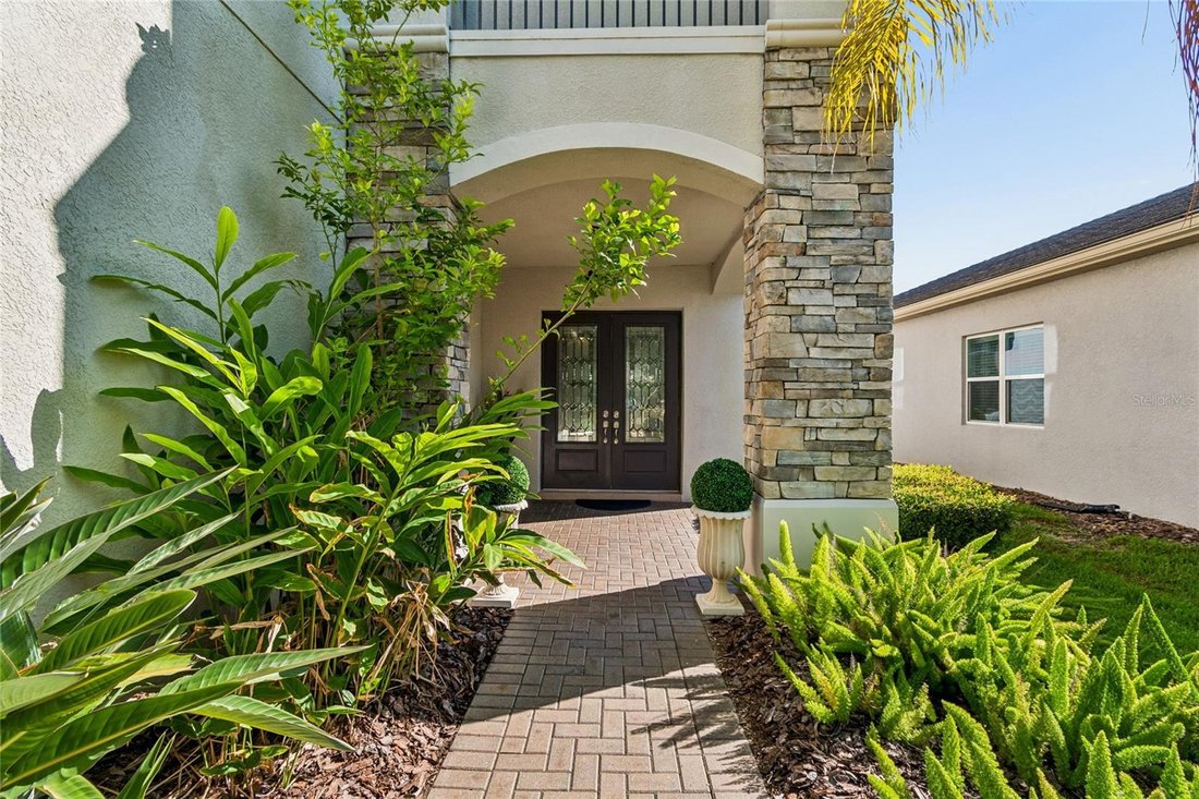 House in Zephyrhills, Florida, United States 5 - 18192785