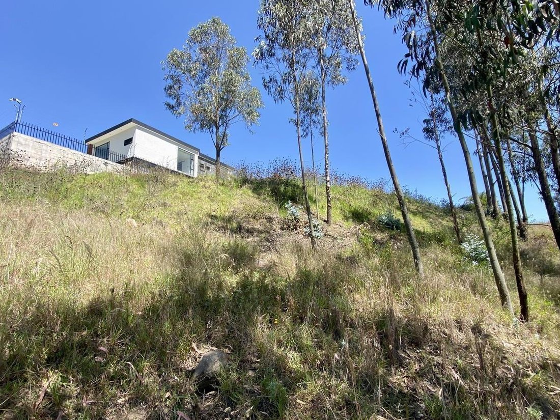 Land in Quito, Pichincha, Ecuador 5 - 18190661