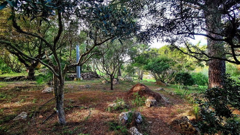 Finca a Capdepera, Isole Baleari, Spagna 3 - 18191992