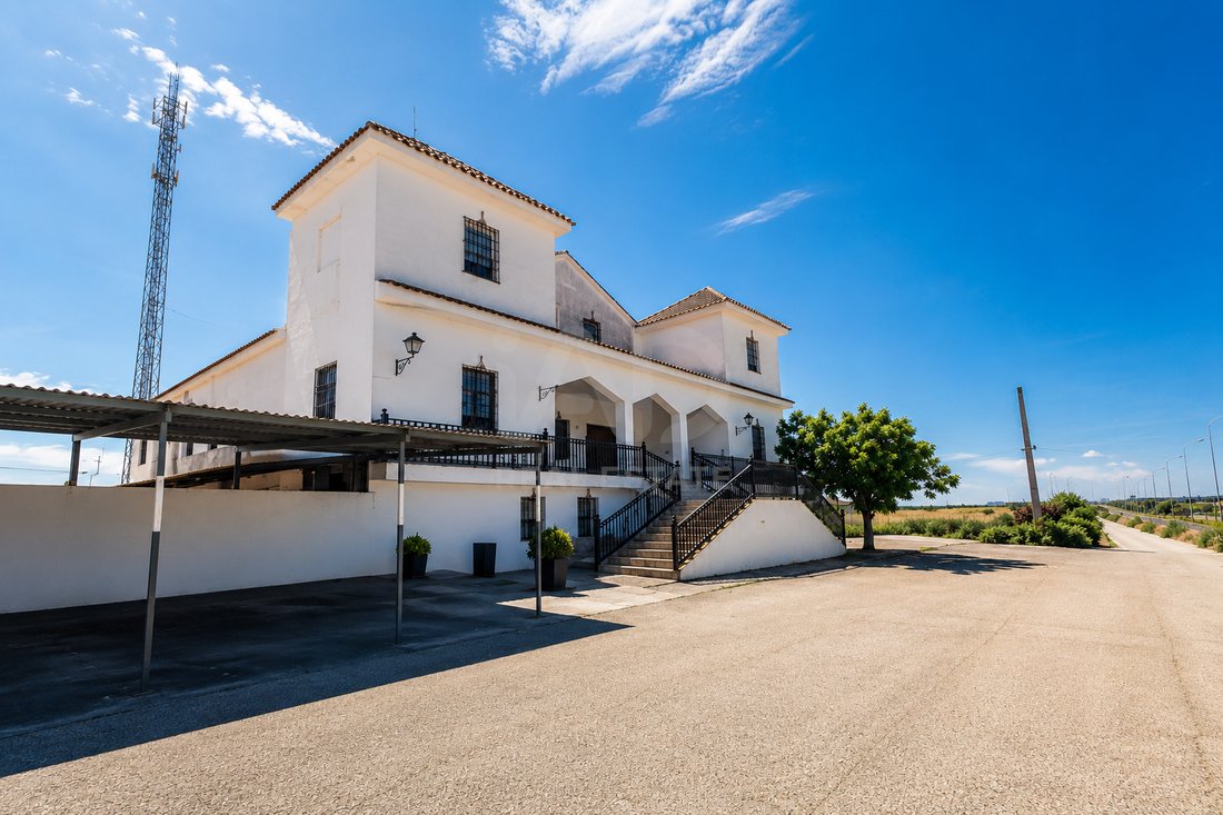 Farm Ranch in Ocana, Castile-La Mancha, Spain 1 - 18190812