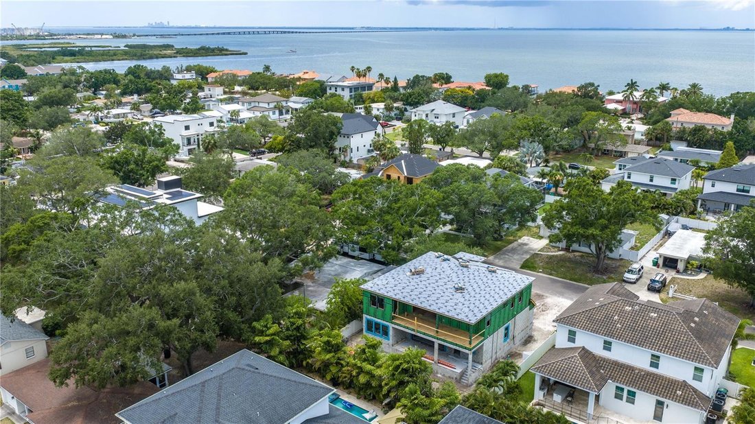 House in Tampa, Florida, United States 5 - 17933886