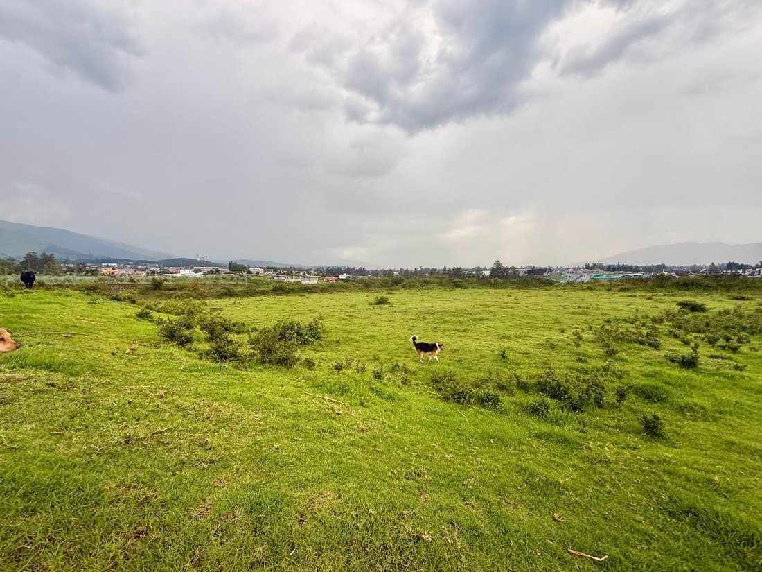 Land in Quito, Pichincha, Ecuador 3 - 18190617