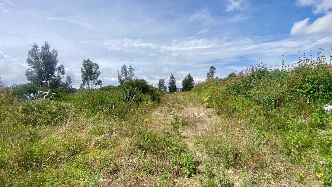 Land in Quito, Pichincha, Ecuador 2 - 18190647