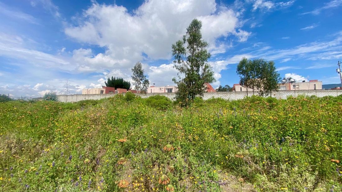 Land in Quito, Pichincha, Ecuador 4 - 18190647