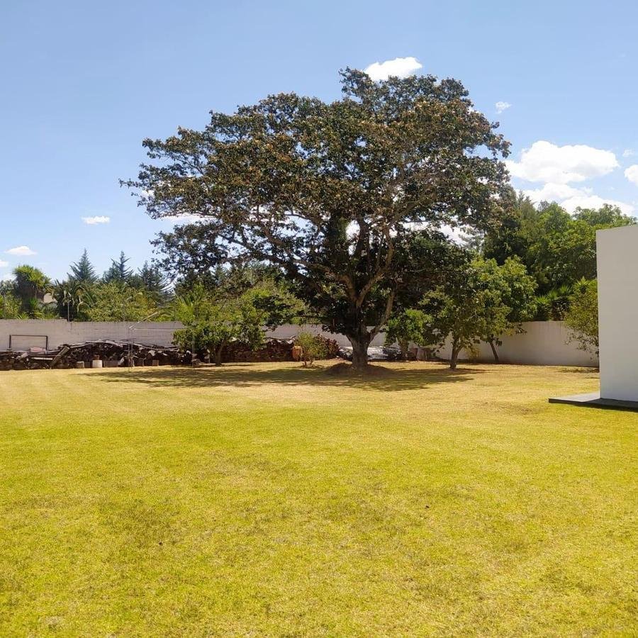 Land in Quito, Pichincha, Ecuador 3 - 18190598