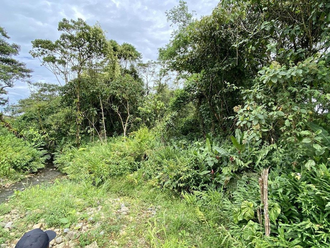 Land in Puyo, Pastaza, Ecuador 3 - 18190633